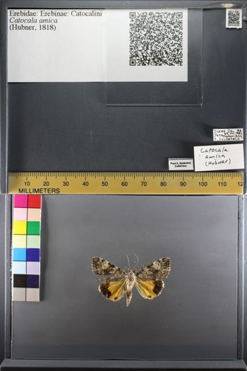 Media type: image;   Entomology 753976